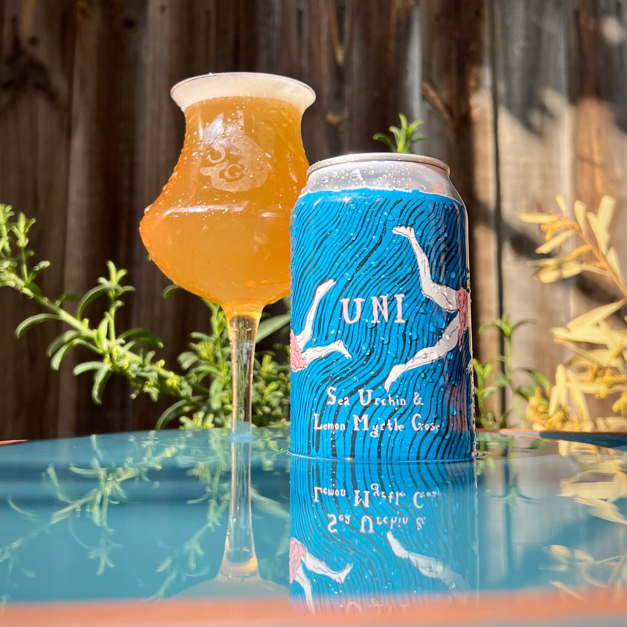 UNI - Sea Urchin & Lemon Myrtle Gose