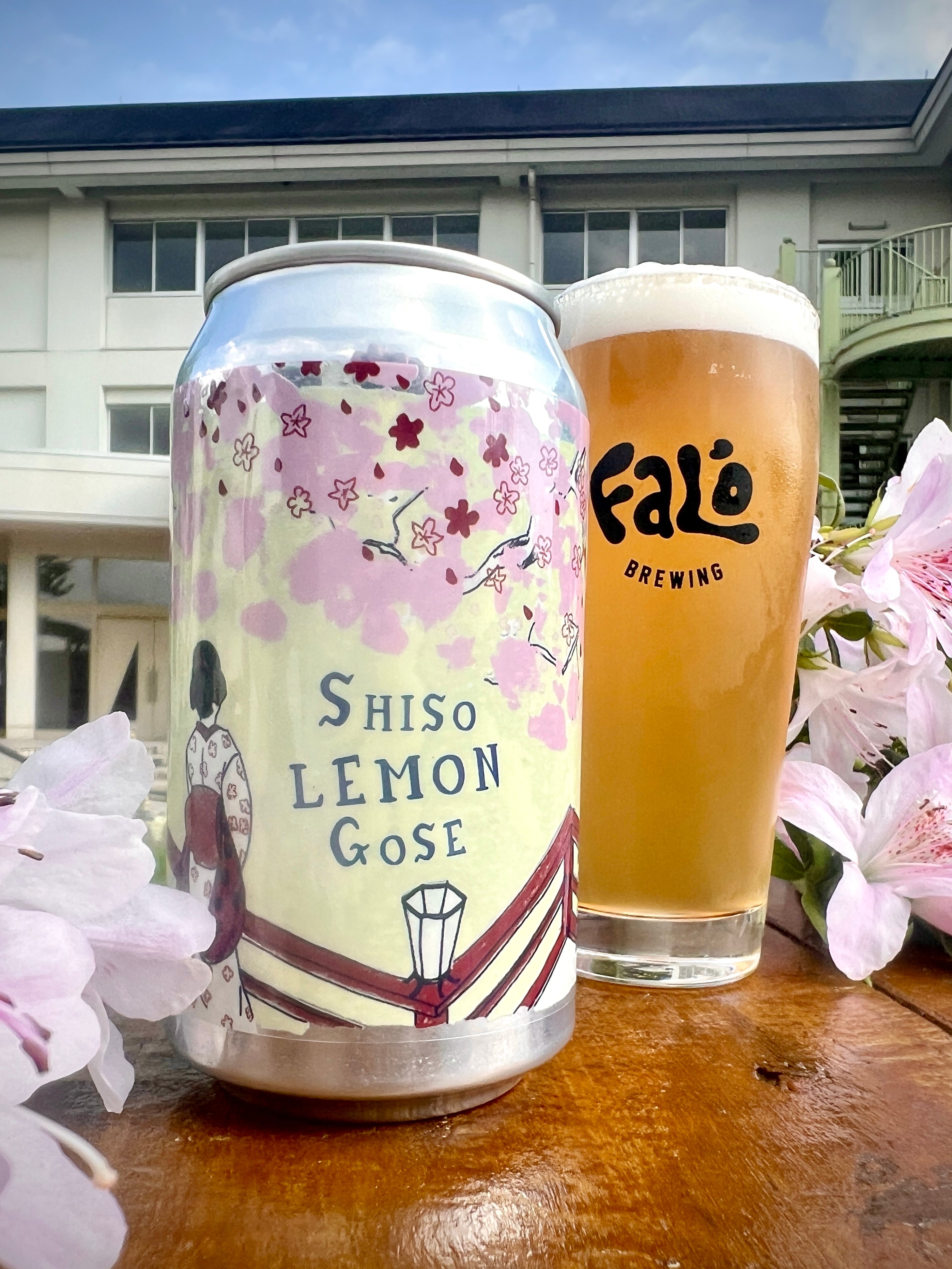 Shiso Lemon Gose beer, the can and poured into Falo brewing glass
