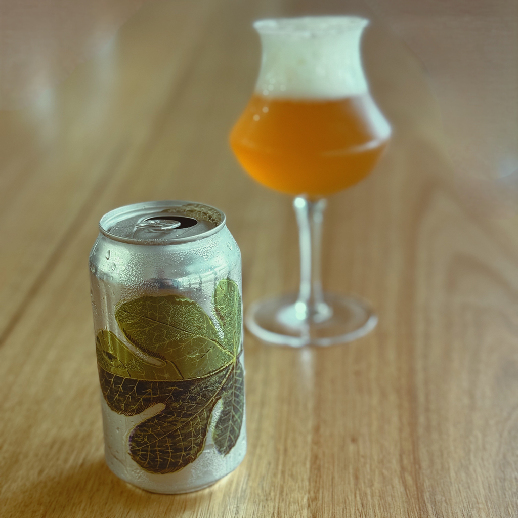Fig Leaf Saison - 16 Pack