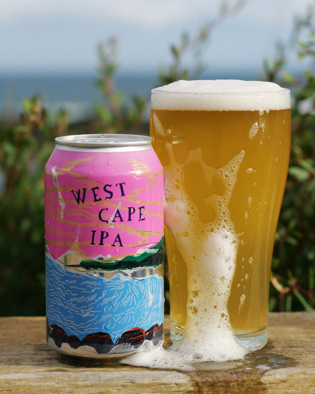 West Cape IPA can and glass of beer with a scenic background